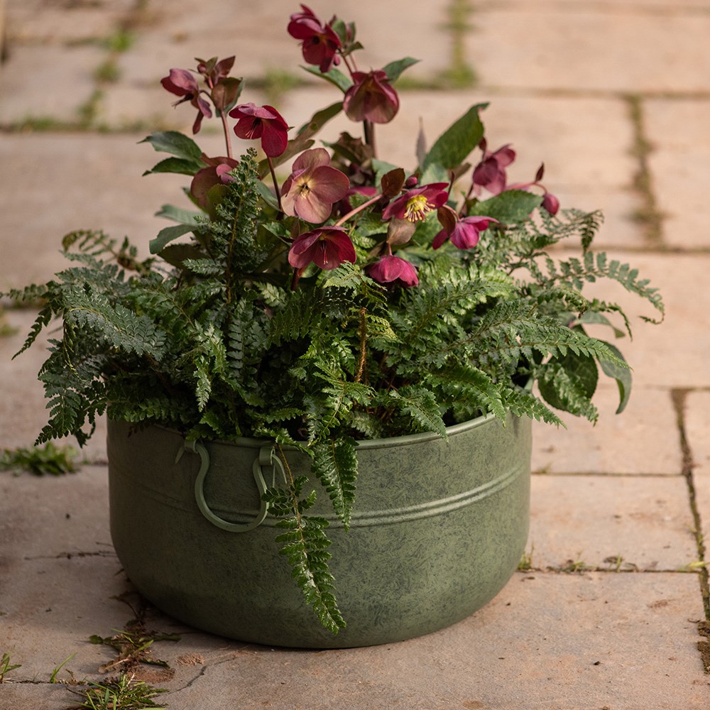 Verdigris plant bowl/drink bucket