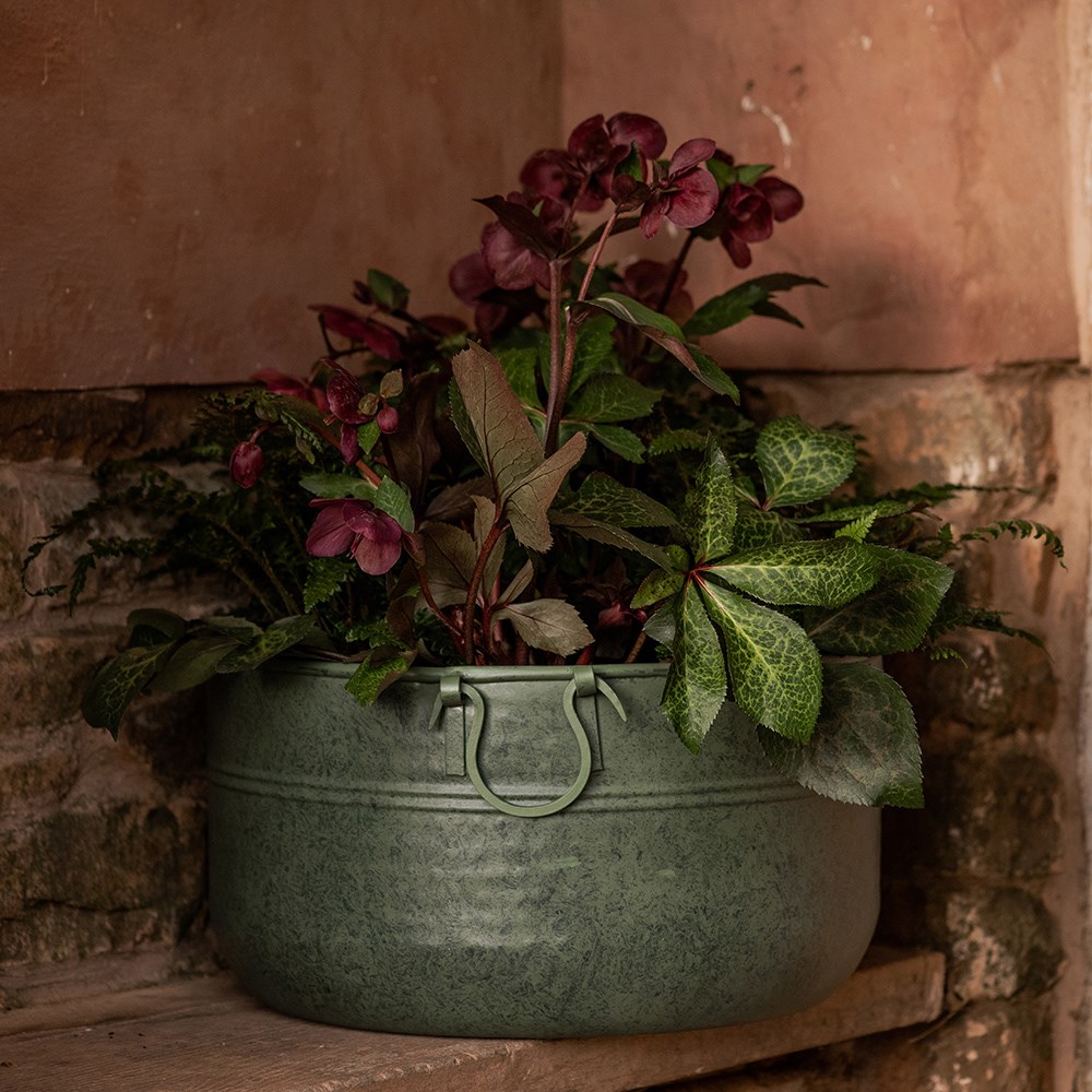 Verdigris plant bowl/drink bucket