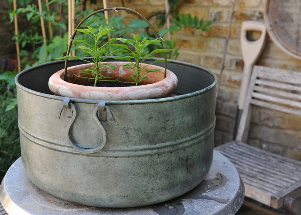 Verdigris plant bowl/drink bucket