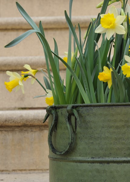 Verdigris tall metal planter