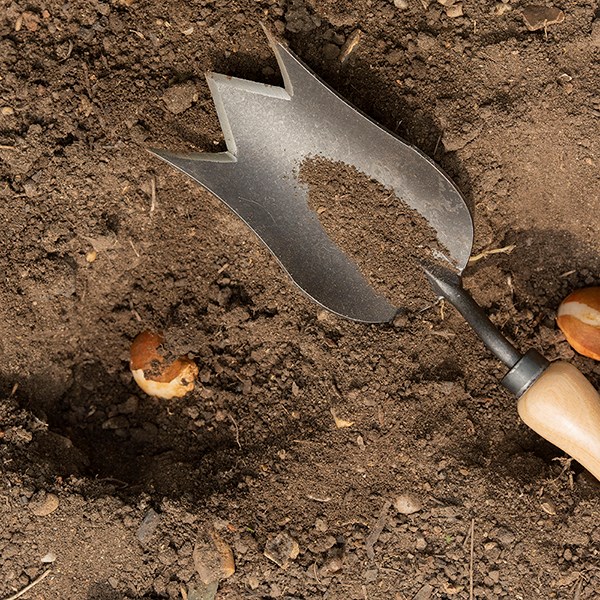 DeWit tulip trowel