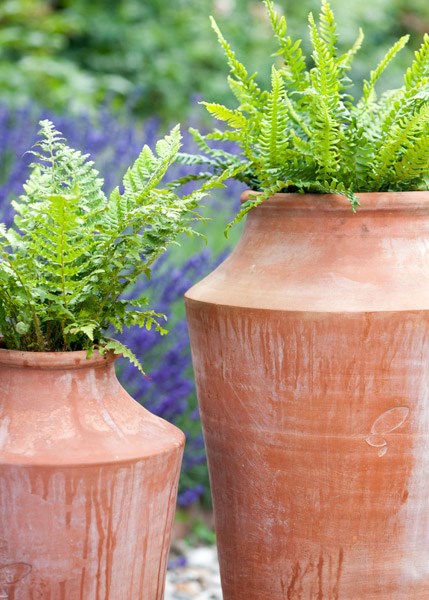 Terracotta oil pot