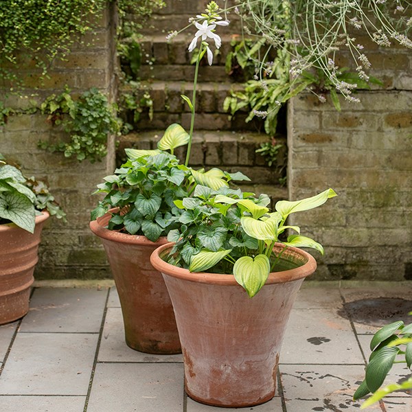 Terracotta arc pot
