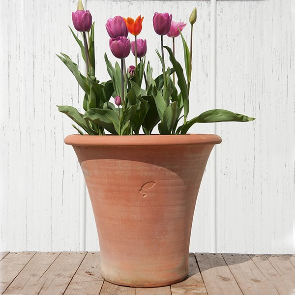 Terracotta arc pot