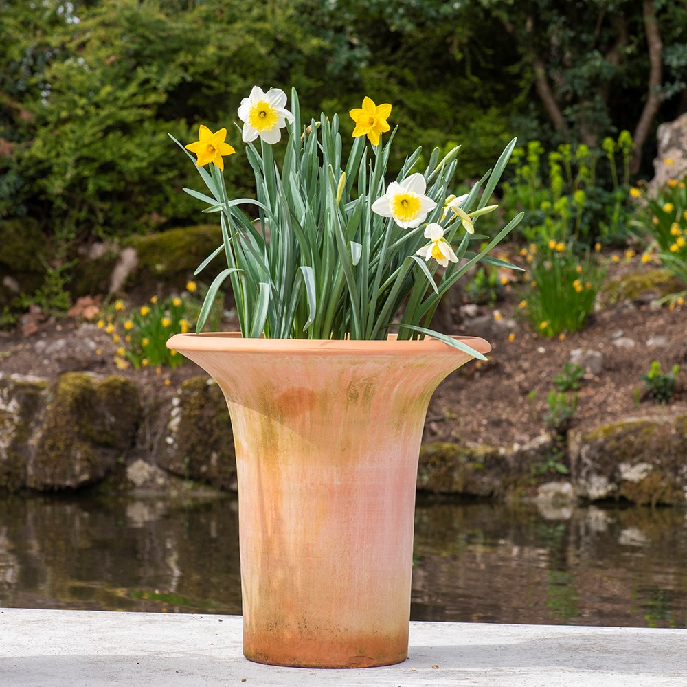 Terracotta flared rim pot