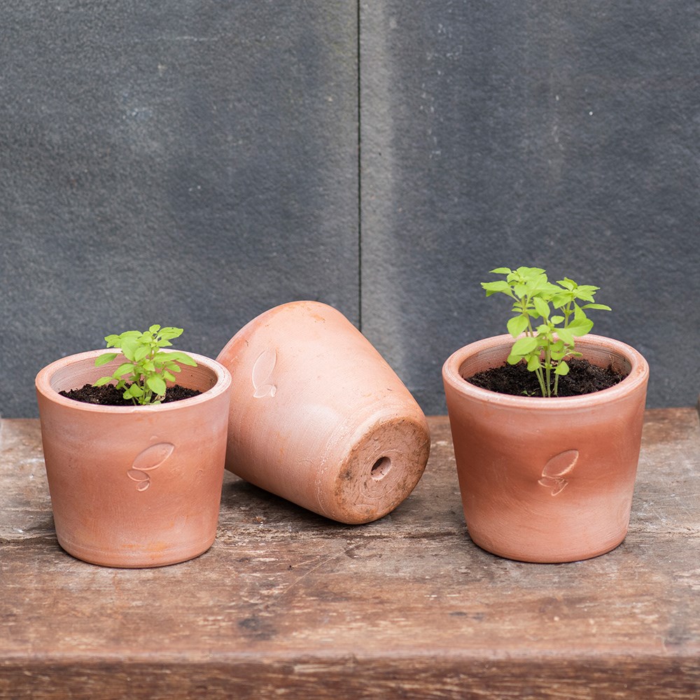 Terracotta seedling pots - set of 3