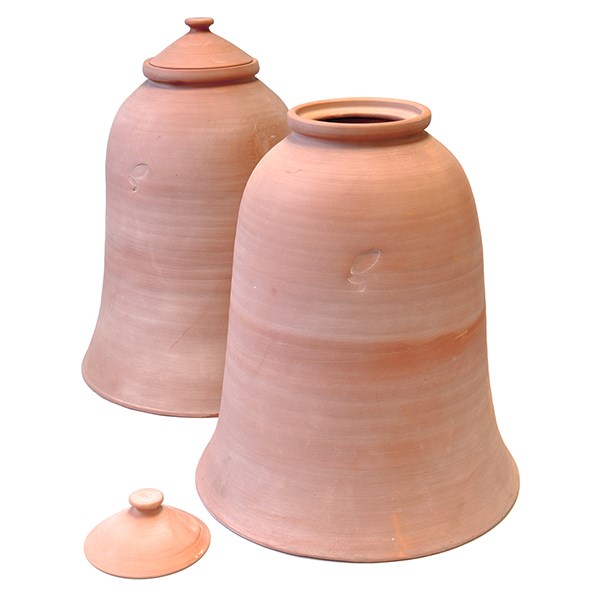 Terracotta rhubarb forcer