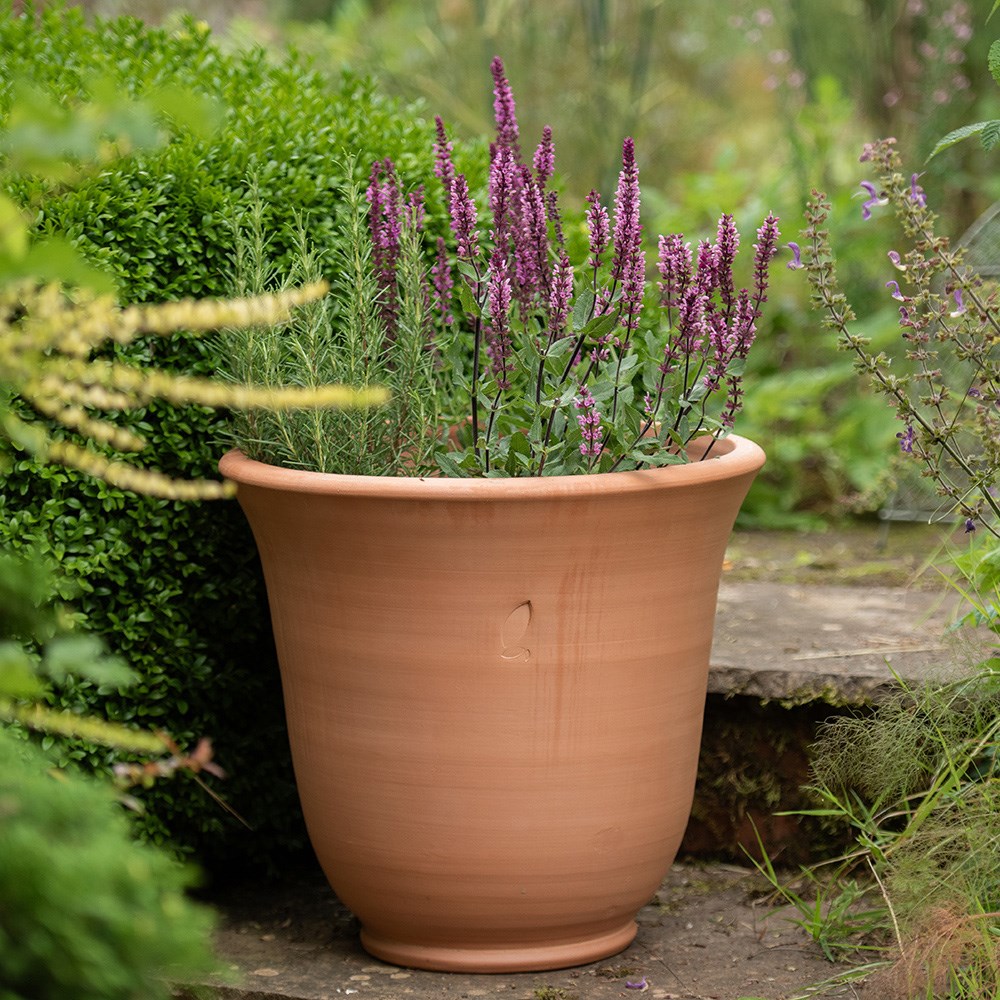 Terracotta perennial bell pot