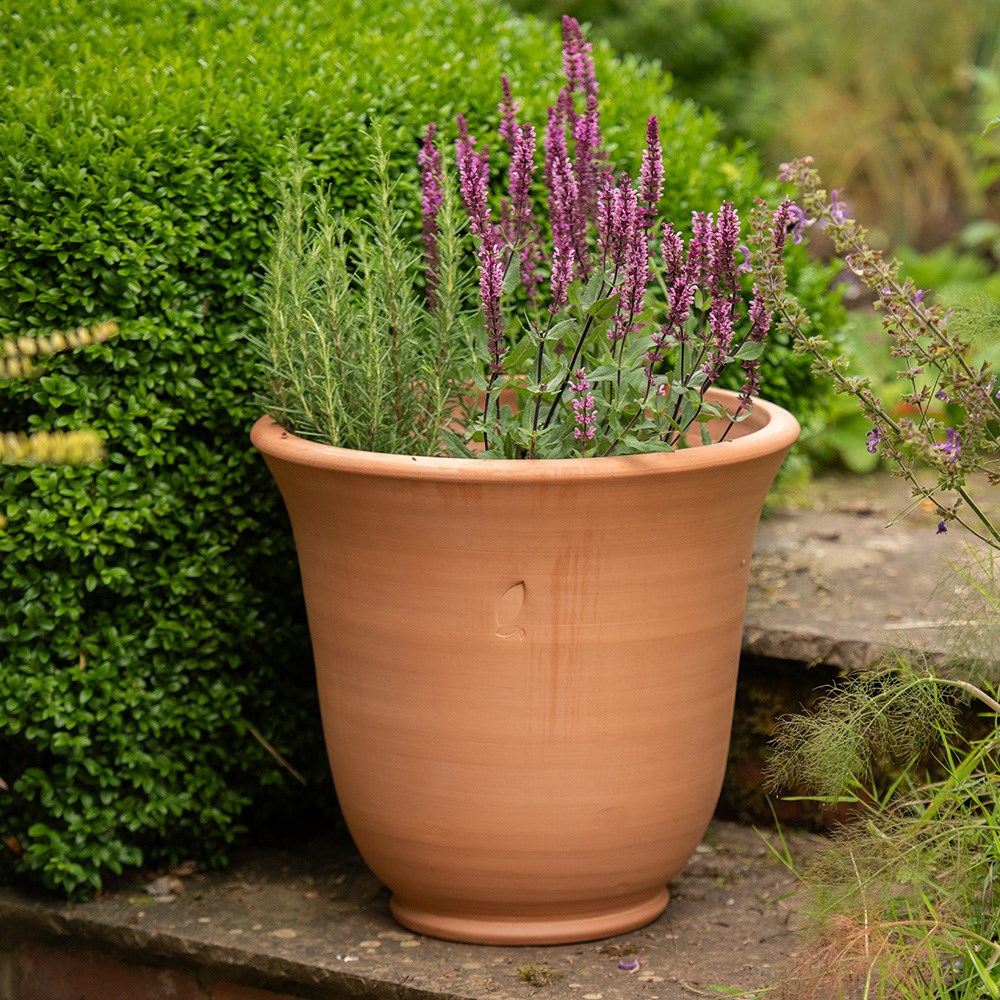 Terracotta perennial bell pot