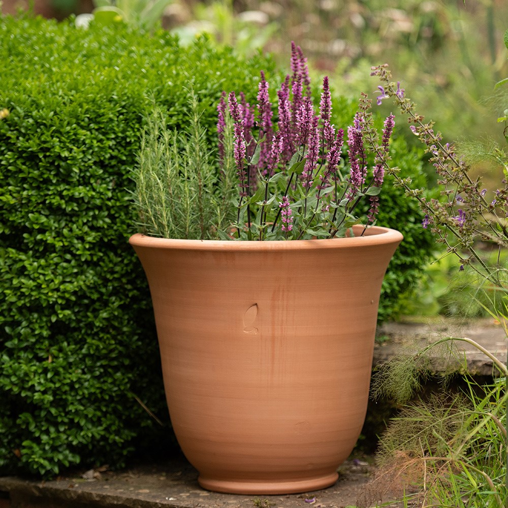 Terracotta perennial bell pot