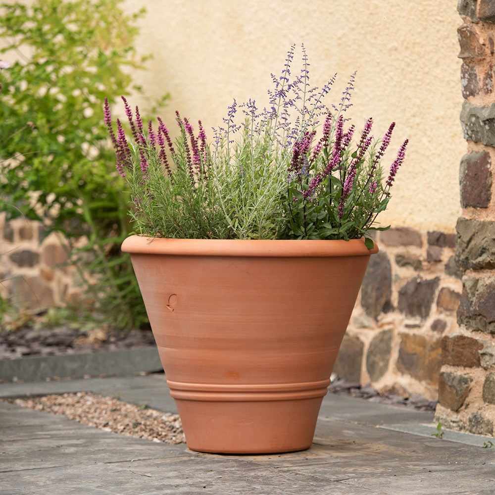 Terracotta olive pot