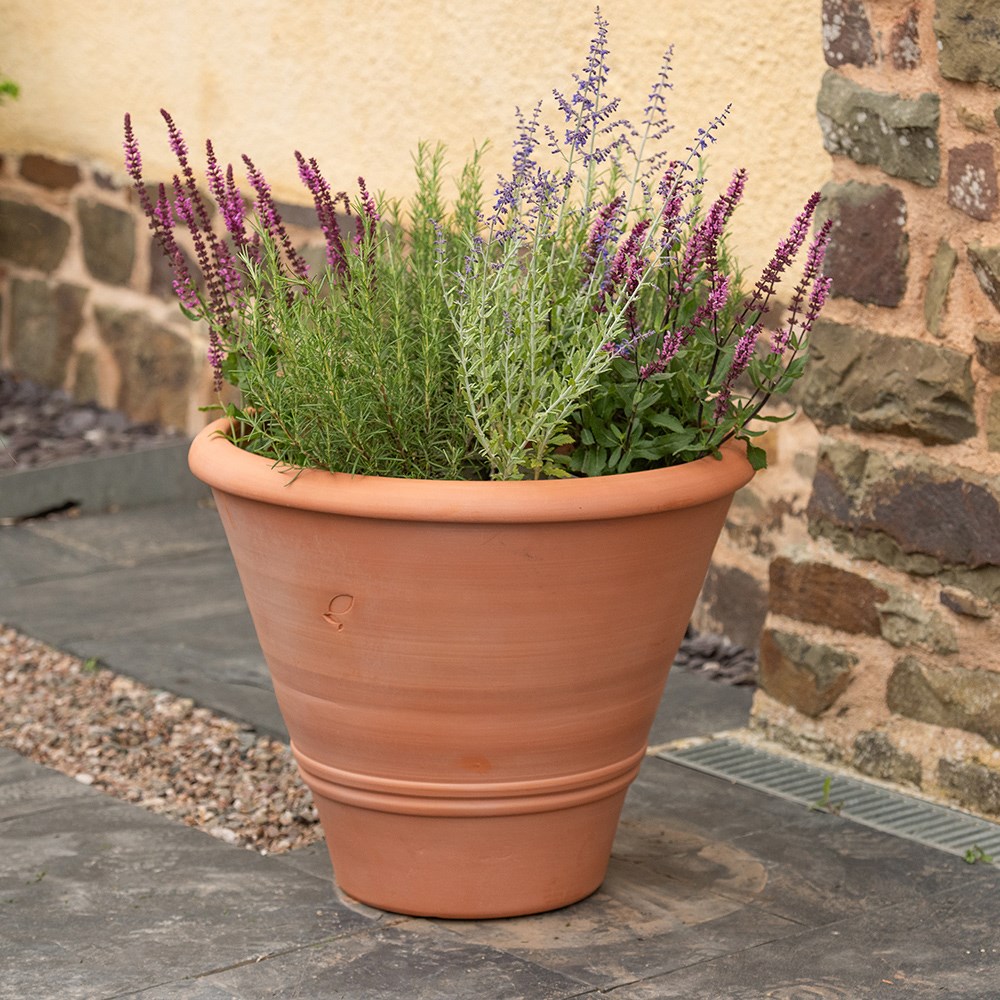 Terracotta olive pot