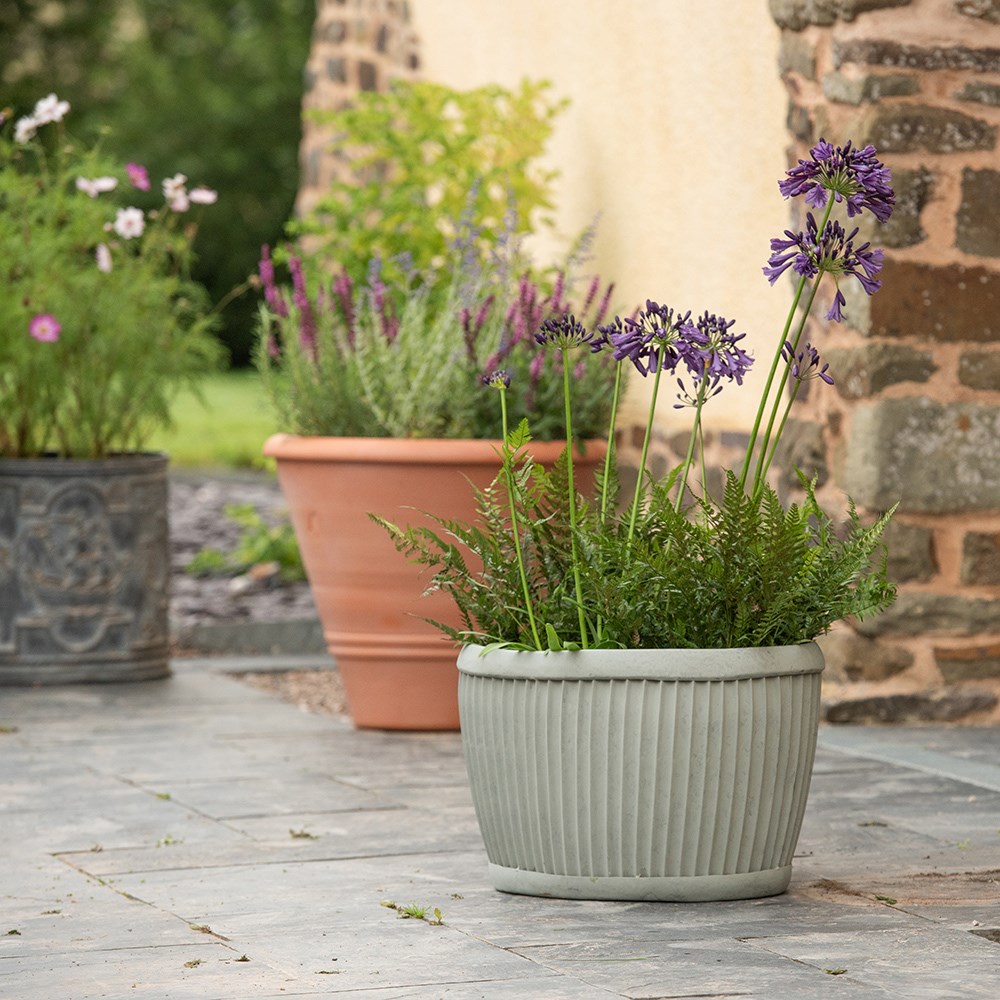 Terracotta olive pot