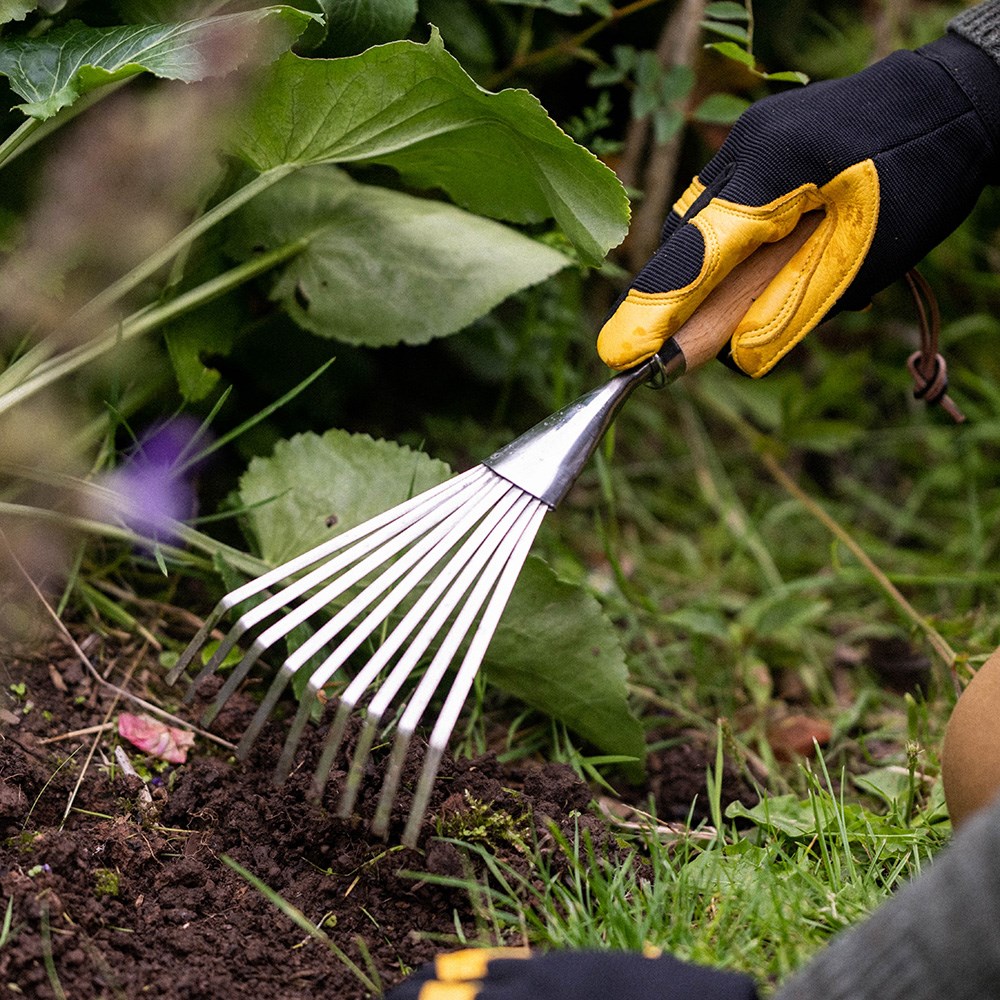RHS Burgon and Ball shrub rake