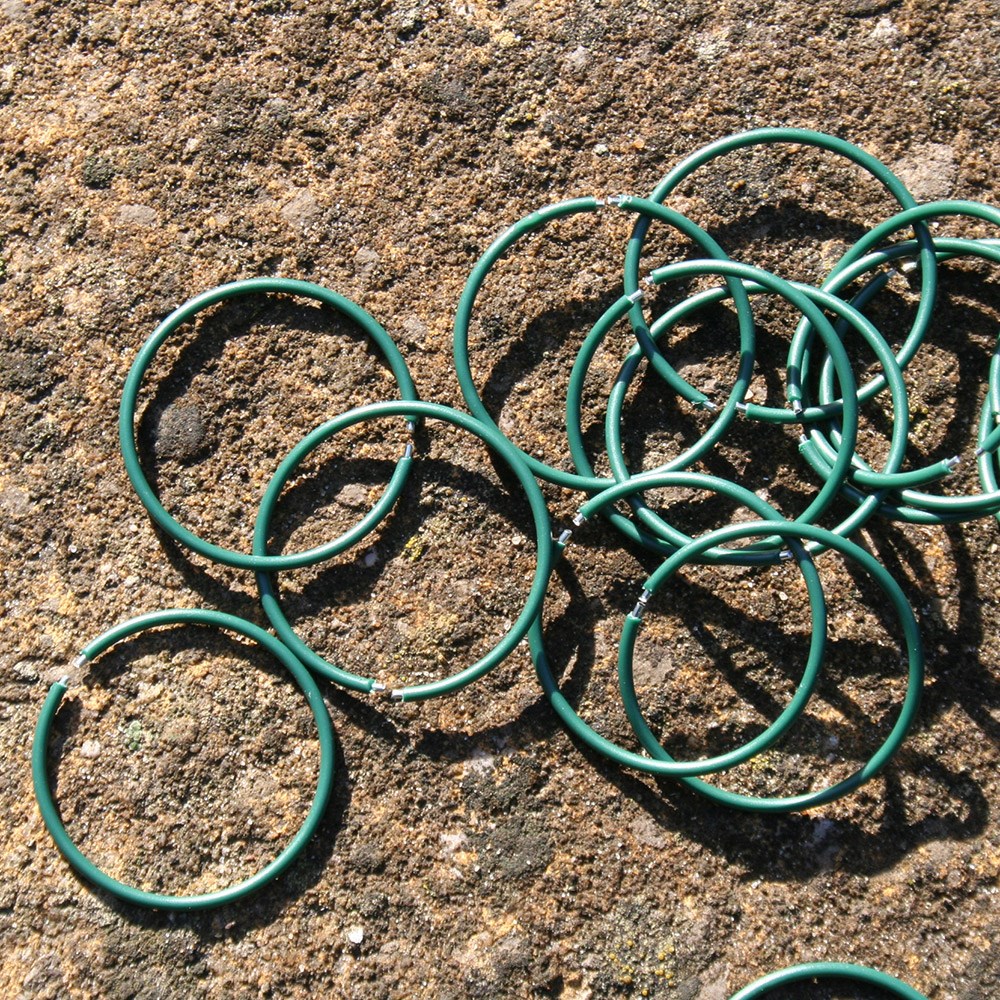 Sweet pea support rings - pack of 50