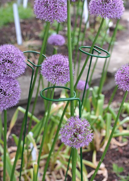 Single stem plant support - green
