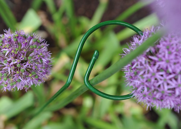 Single stem plant support - green