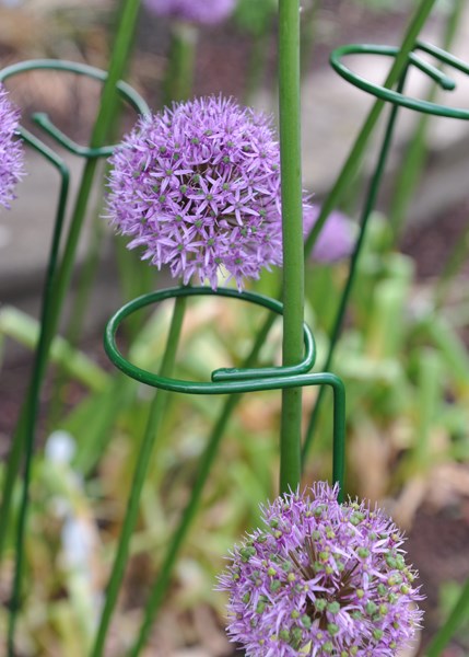 Single stem plant support - green
