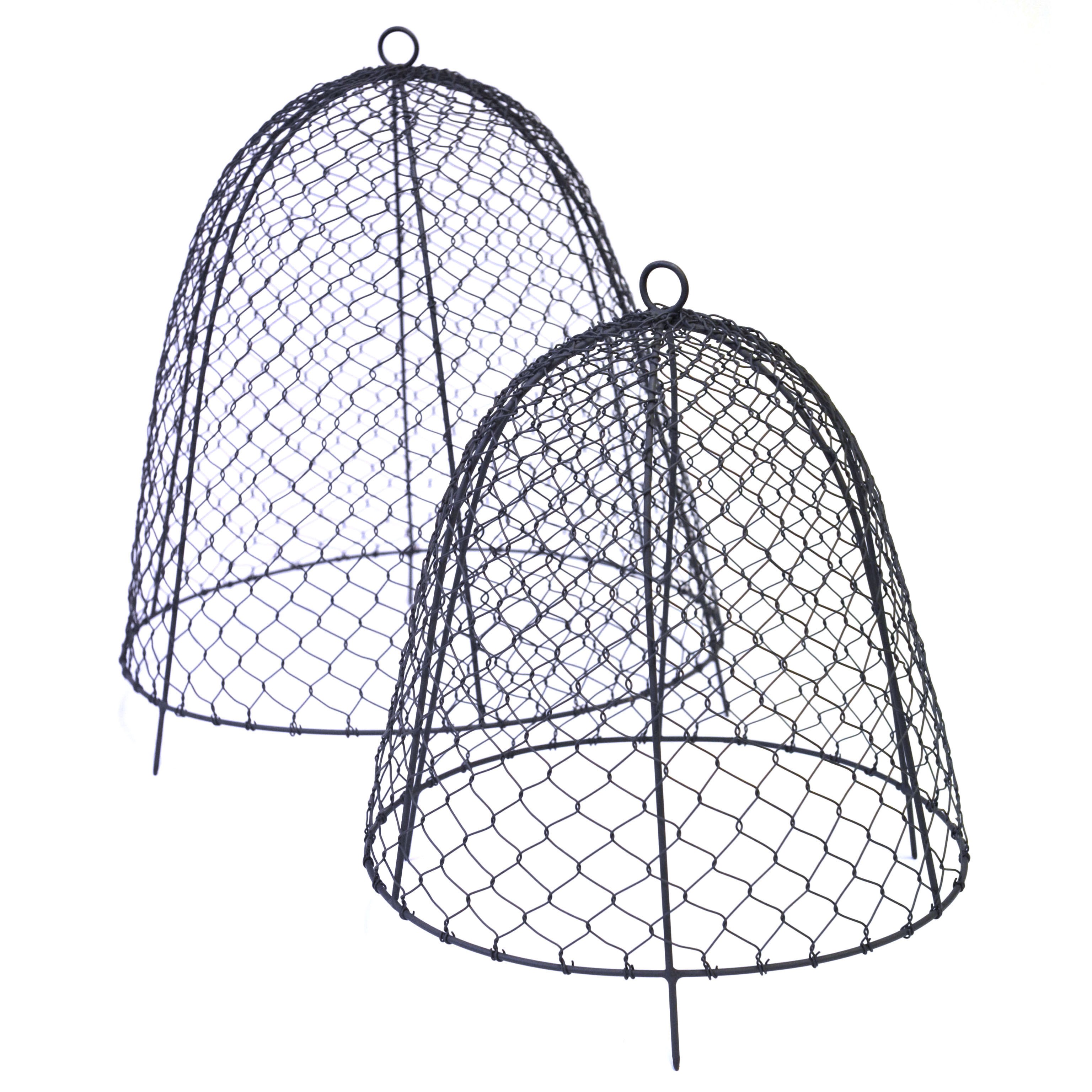 Squirrel proof cloche