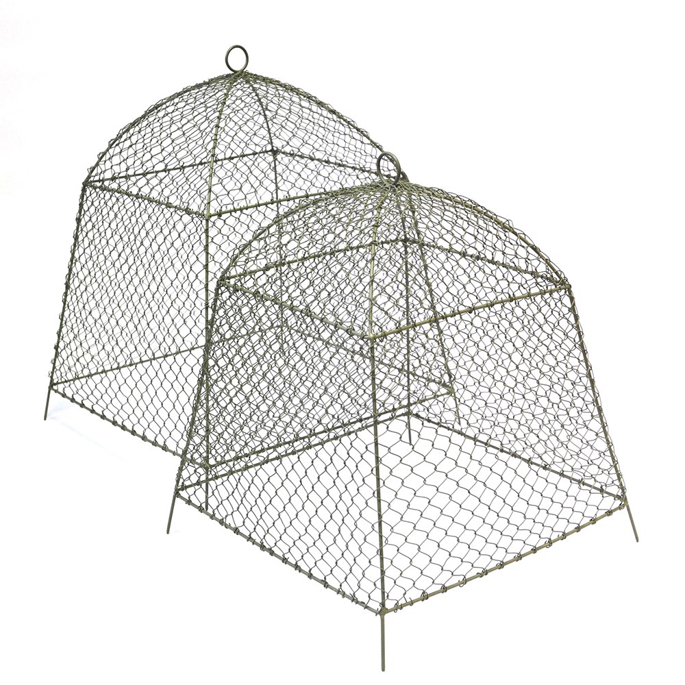 Rabbit proof cloche