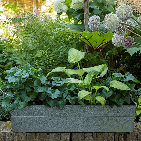 Embossed galvanised metal window trough