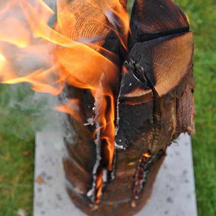 Party fire log