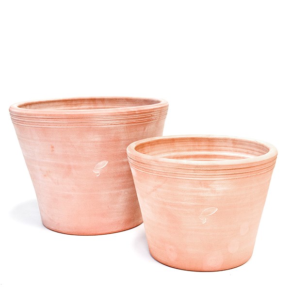 Kitchen garden terracotta pot