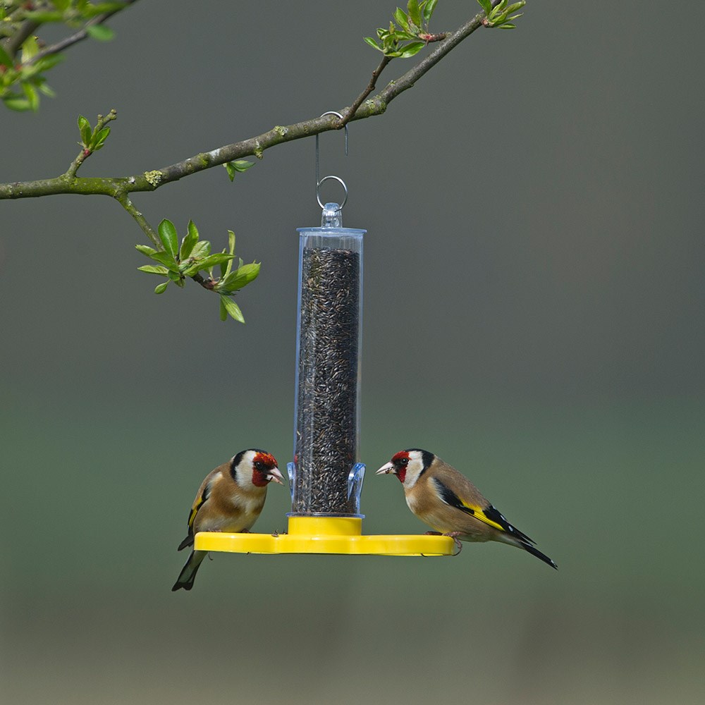 Goldfinch feeder tube - ready filled