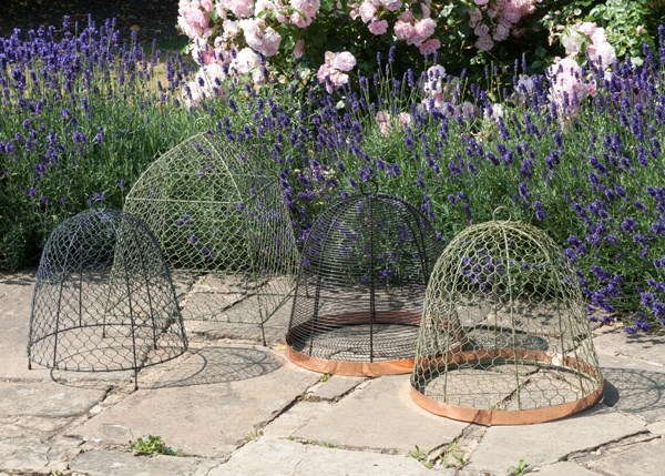 Copper rimmed cloche - bronze