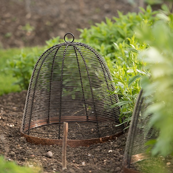 Copper rimmed cloche - bronze