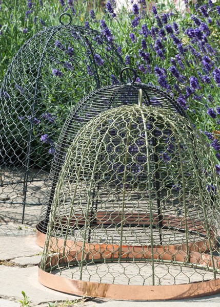 Copper rimmed cloche - lichen green
