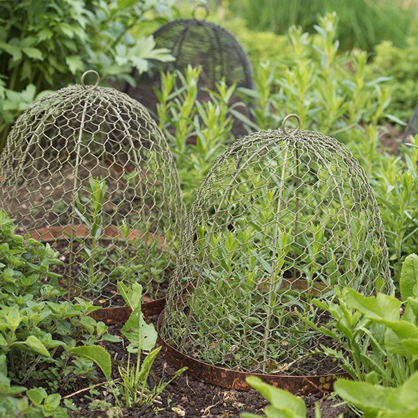 Copper rimmed cloche - lichen green