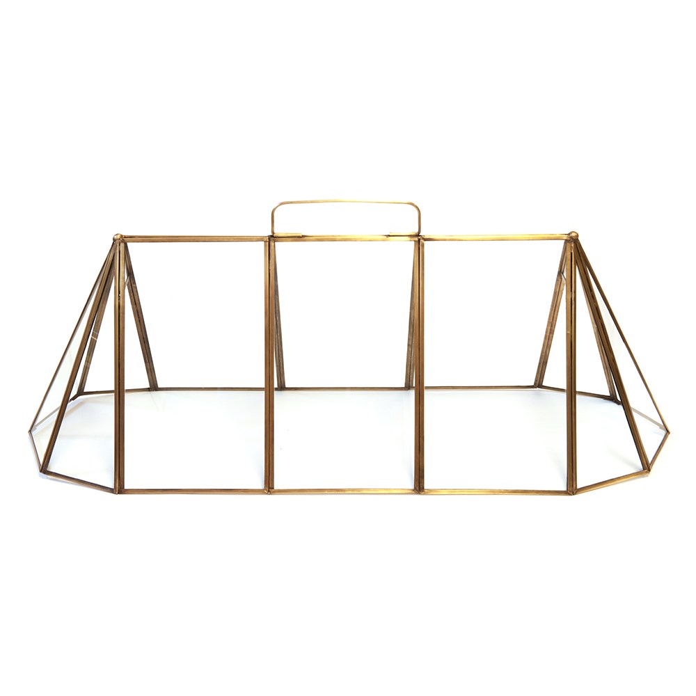 Seedling cloche