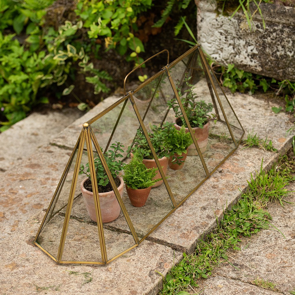 Seedling cloche