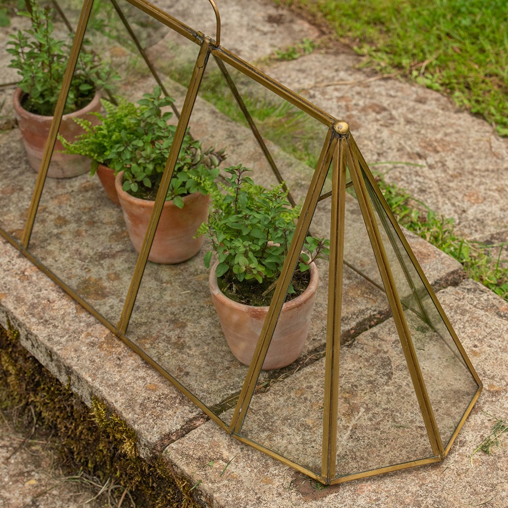 Seedling cloche
