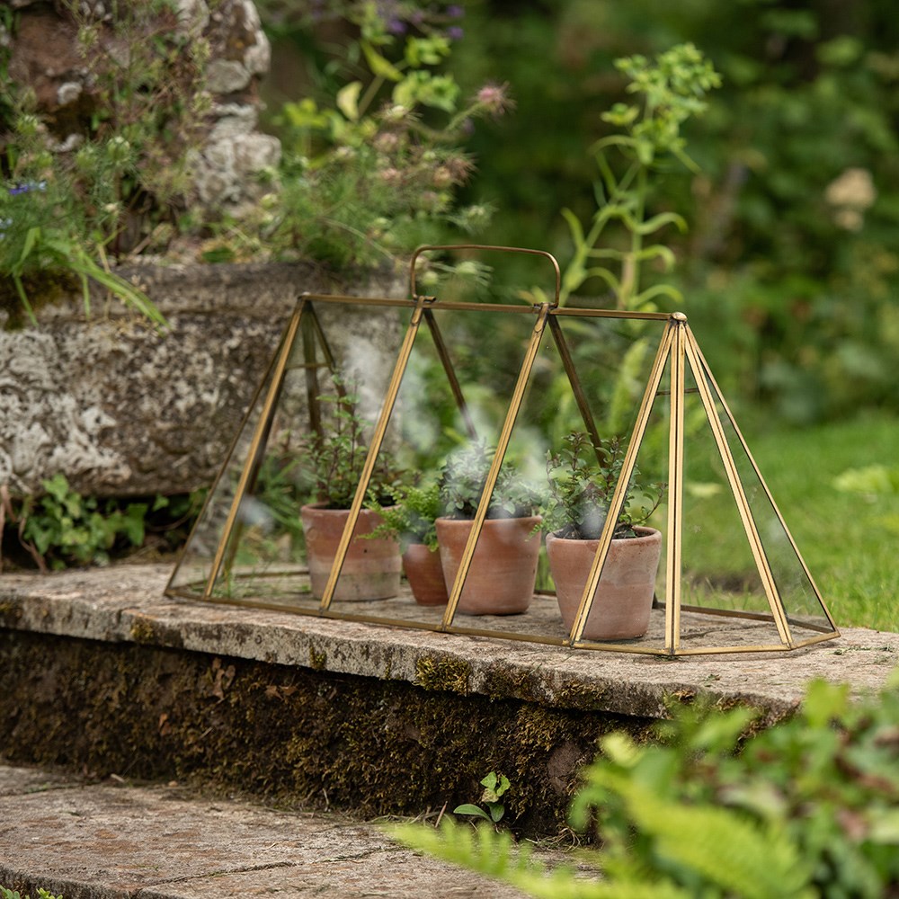 Seedling cloche