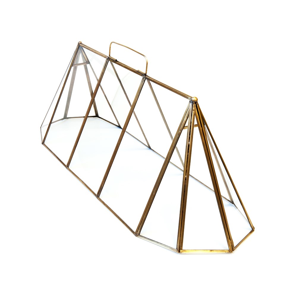 Seedling cloche