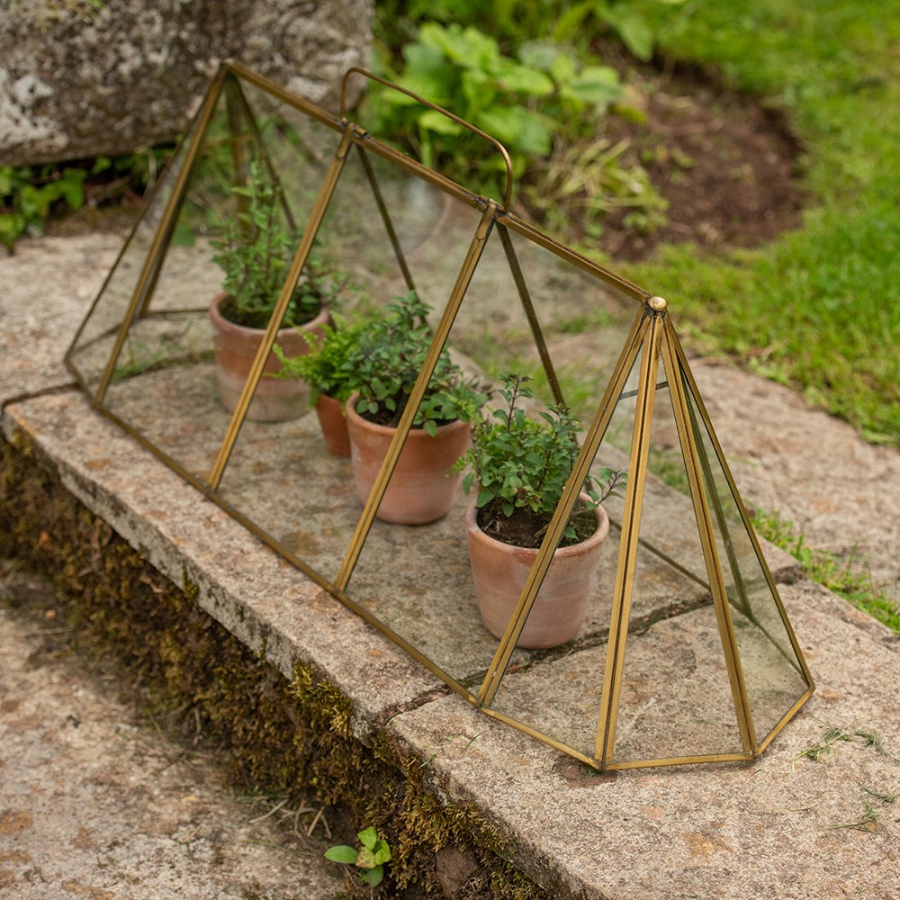 Seedling cloche