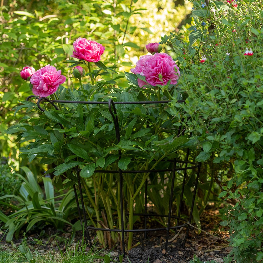Fluted plant support - bronze