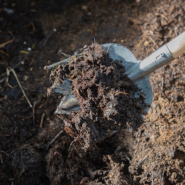 DeWit lightweight compost/soil shovel