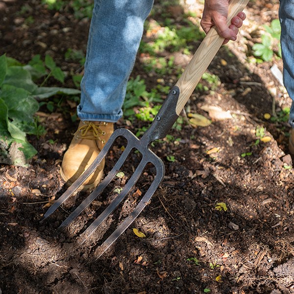 DeWit 4 prong digging fork