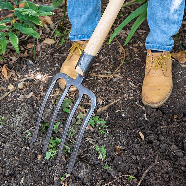 DeWit 4 prong digging fork