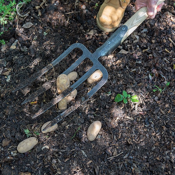 DeWit 4 prong digging fork