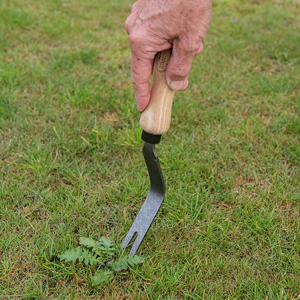 DeWit bio weeding fork