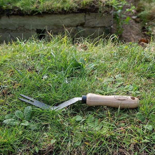 DeWit bio weeding fork