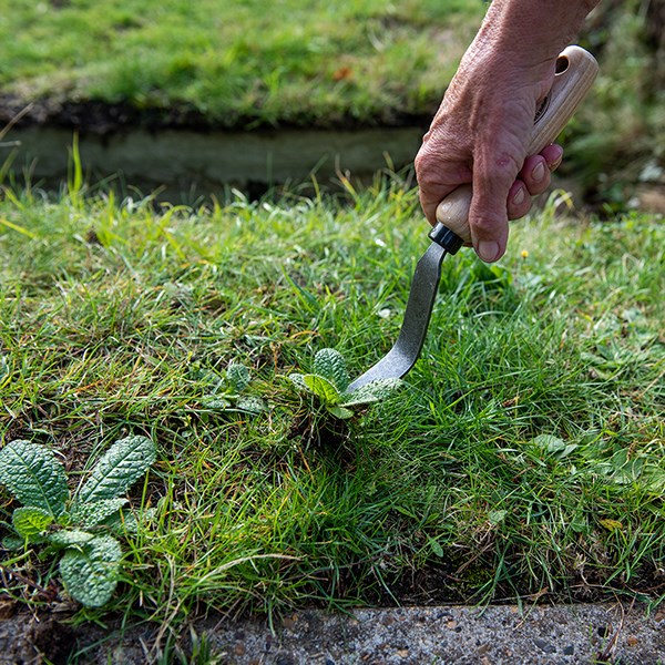 DeWit bio weeding fork
