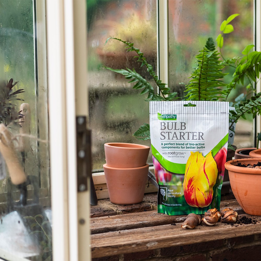 Empathy RHS bulb starter with rootgrow