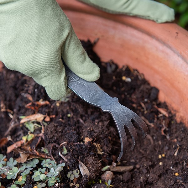 DeWit ninja cultivator