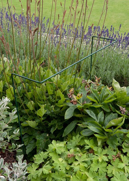 Border plant support pack of 3 - green