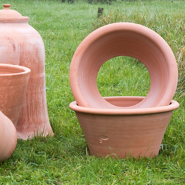Terracotta rimmed grow pot